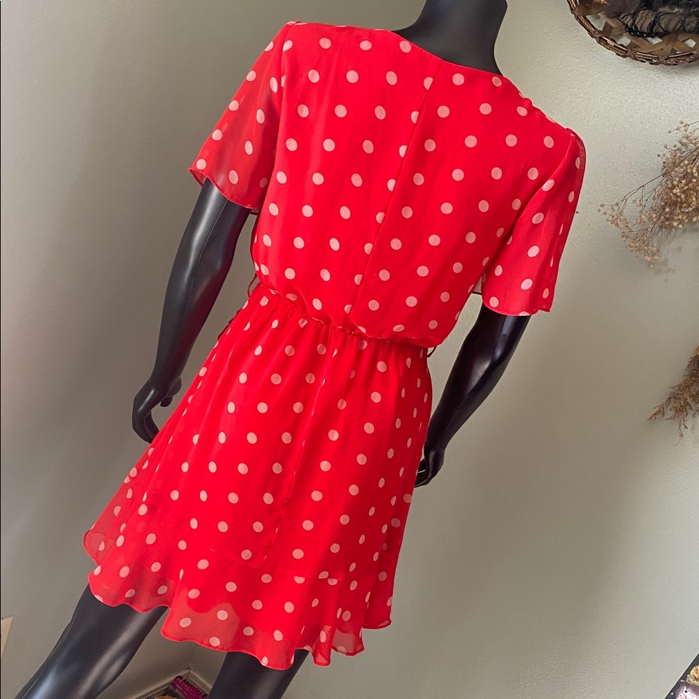 Miami Red and White Polka Dot Mini Sheer Dress - Picture 8 of 13